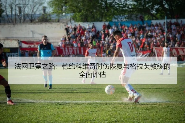 fa-wang-wei-mian-zhi-lu-de-yue-ke-wei-qi-zhou-shang-hui-fu-yu-ge-la-fu-jiao-lian-de-quan-mian-ping-gu-2-486.jpg