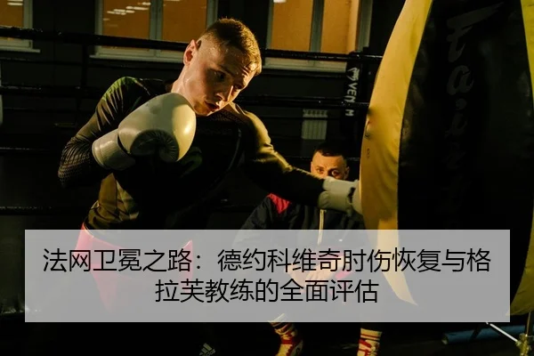 法网卫冕之路：德约科维奇肘伤恢复与格拉芙教练的全面评估